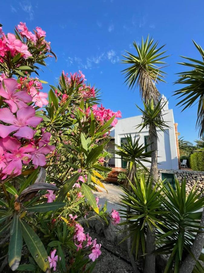 Villa Dei Gabbiani ฟาวีญานา ภายนอก รูปภาพ